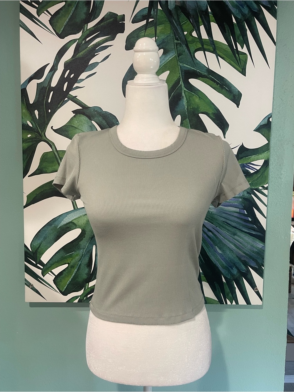 Gypsy & Jade Ribbed Crop Tee in Sage Green - Womens Short Sleeve Top
